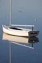 porpoise sailboat